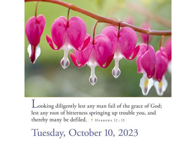 Workman Publishing, 365 Bible Verses-A-Year Color 2023 Page-A-Day Calendar